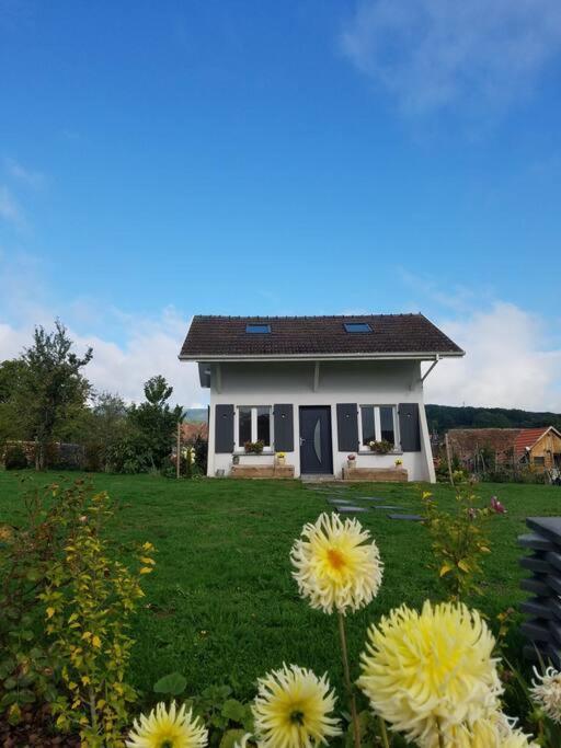 Gite Le Charmot, Au Pied Des Montagnes Classe 3* Roderen エクステリア 写真
