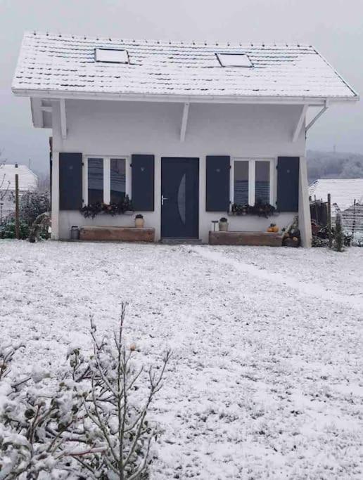 Gite Le Charmot, Au Pied Des Montagnes Classe 3* Roderen エクステリア 写真