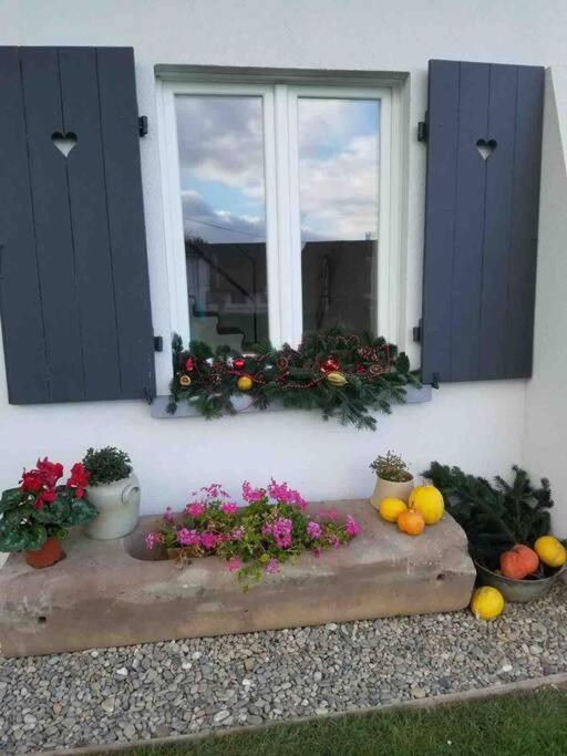 Gite Le Charmot, Au Pied Des Montagnes Classe 3* Roderen エクステリア 写真
