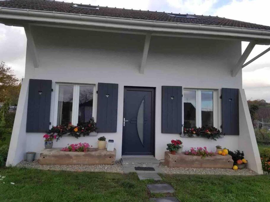 Gite Le Charmot, Au Pied Des Montagnes Classe 3* Roderen エクステリア 写真